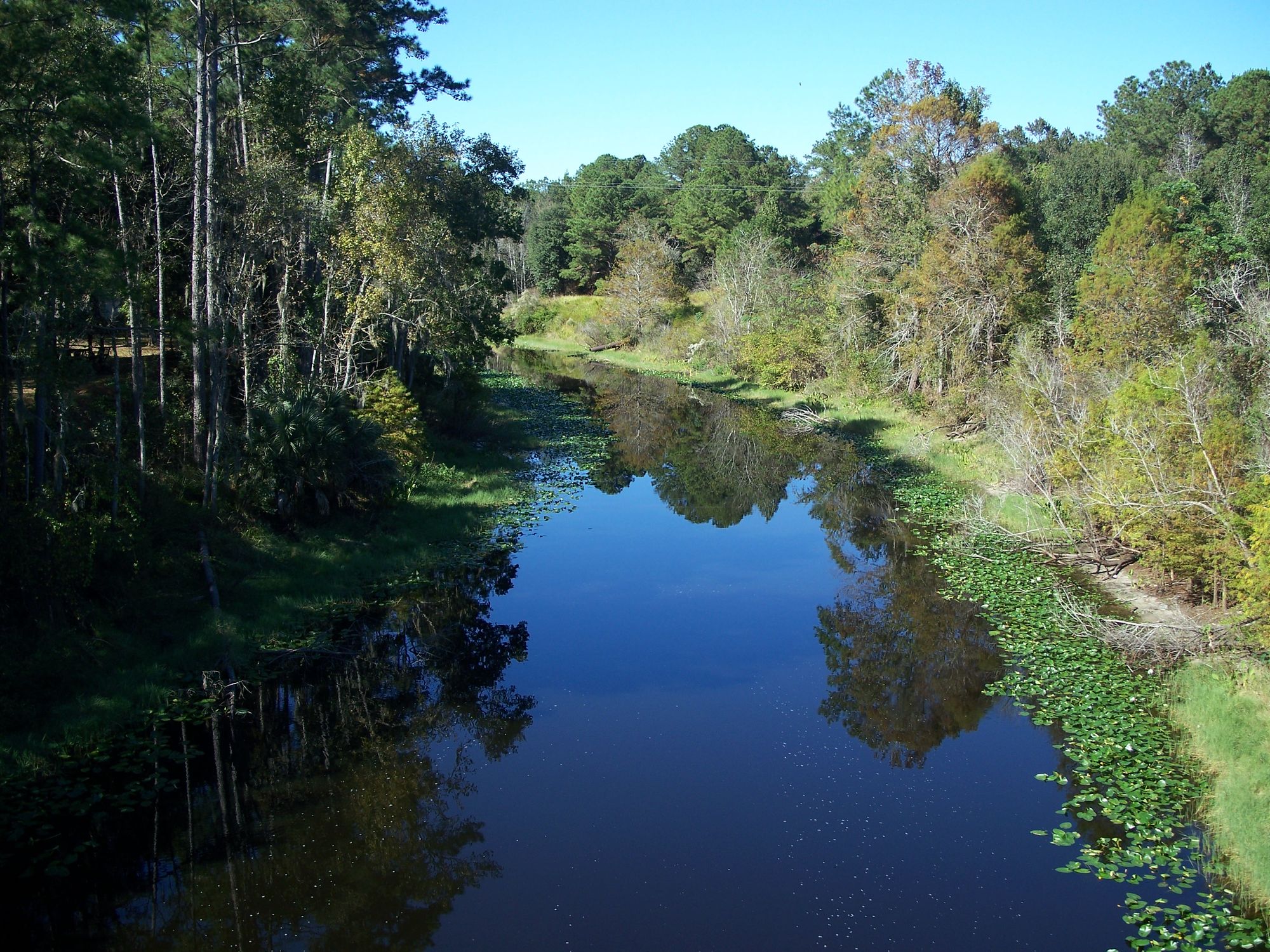 Ocklawaha River Kayaking and Paddle Boarding in Florida - Maps ...