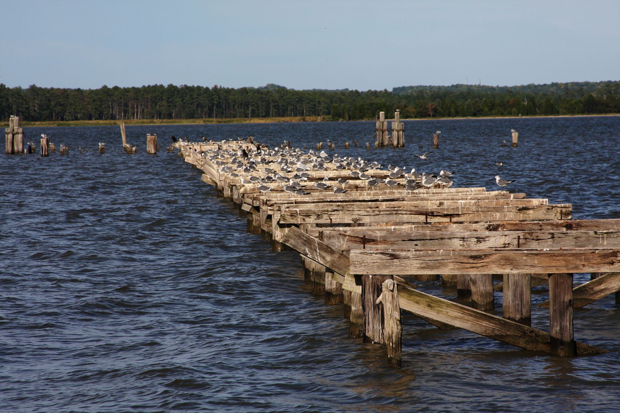 Rappahannock River Kayaking and Paddle Boarding in Virginia - Maps ...