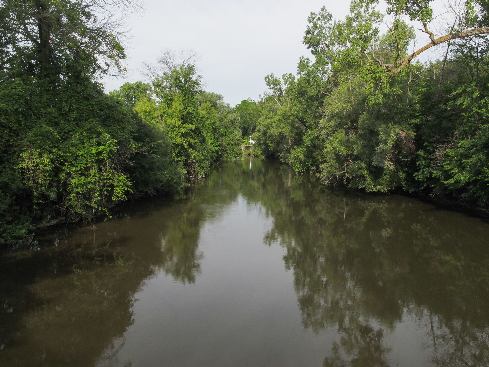Pine River Kayaking and Paddle Boarding in Michigan - Maps & Conditions ...