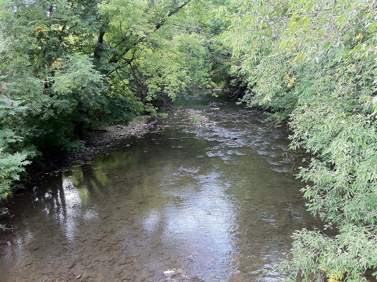 South Branch Root River Kayaking and Paddle Boarding in Minnesota ...