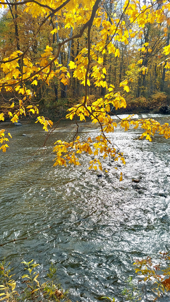Chagrin River Kayaking and Paddle Boarding in Ohio - Maps & Conditions ...