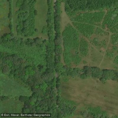 Spring Brach Map Clear Spring Branch Fishing in Tennessee - Maps, Reports, & Best Spots ...
