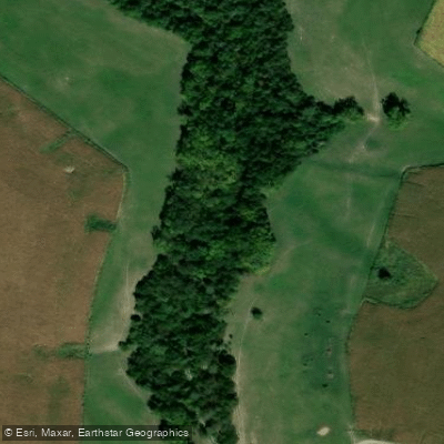 Spring Brach Map Spring Branch Fishing in Kentucky - Maps, Reports, & Best Spots ...
