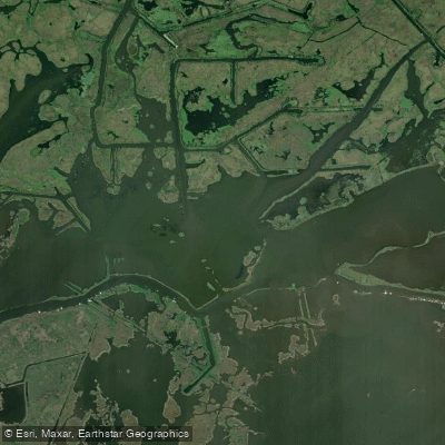 Bayou La Loutre Kayaking and Paddle Boarding in Louisiana - Maps ...